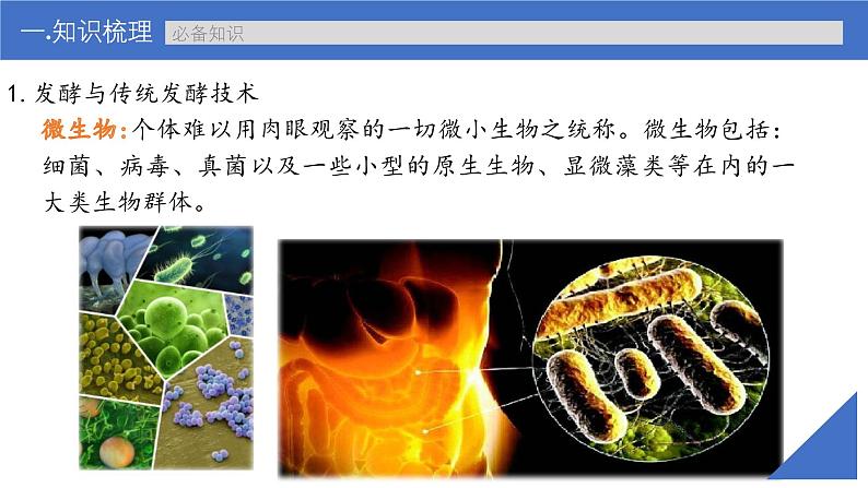 新高考生物一轮复习考点课件第52讲 传统发酵技术的应用、发酵工程及其应用(含解析)07