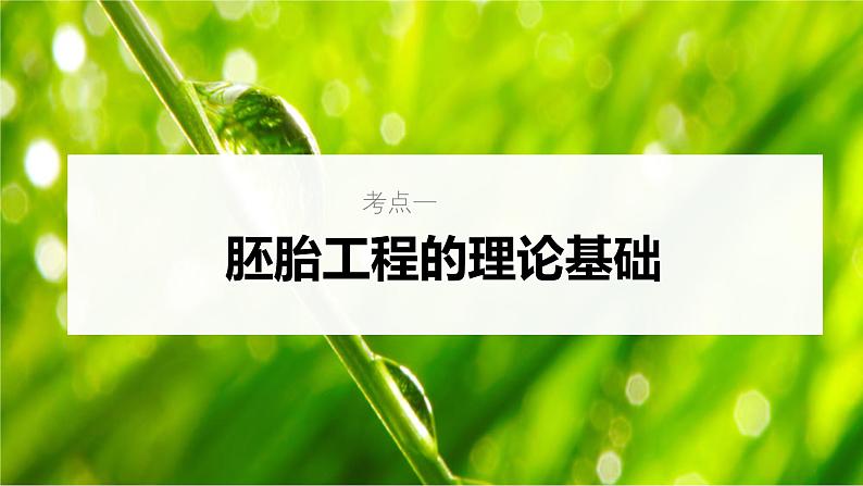 新高考生物一轮复习考点课件第56讲 胚胎工程(含解析)第5页