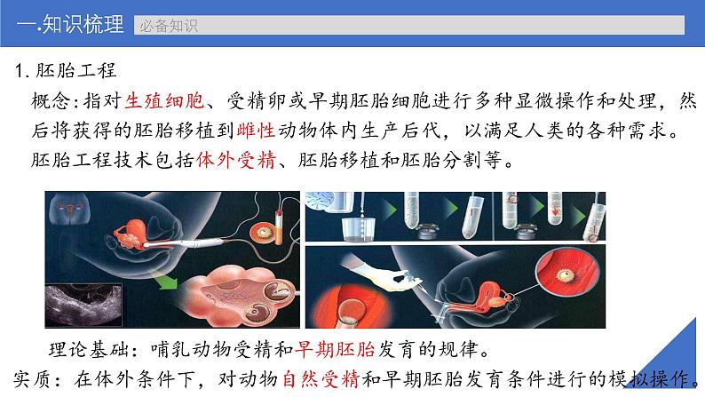 新高考生物一轮复习考点课件第56讲 胚胎工程(含解析)第6页