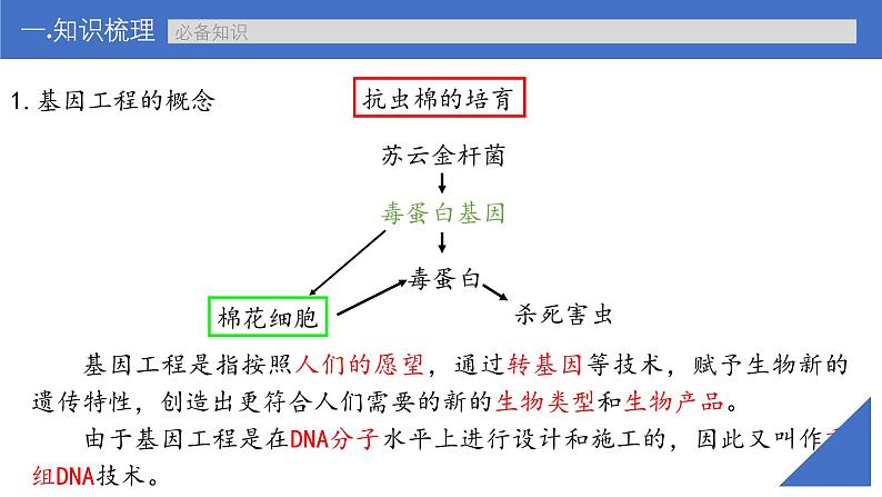 新高考生物一轮复习考点课件第57讲 基因工程的基本工具和基本操作程序(含解析)第6页