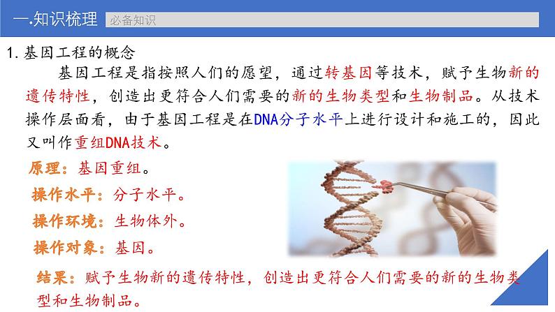 新高考生物一轮复习考点课件第57讲 基因工程的基本工具和基本操作程序(含解析)第7页