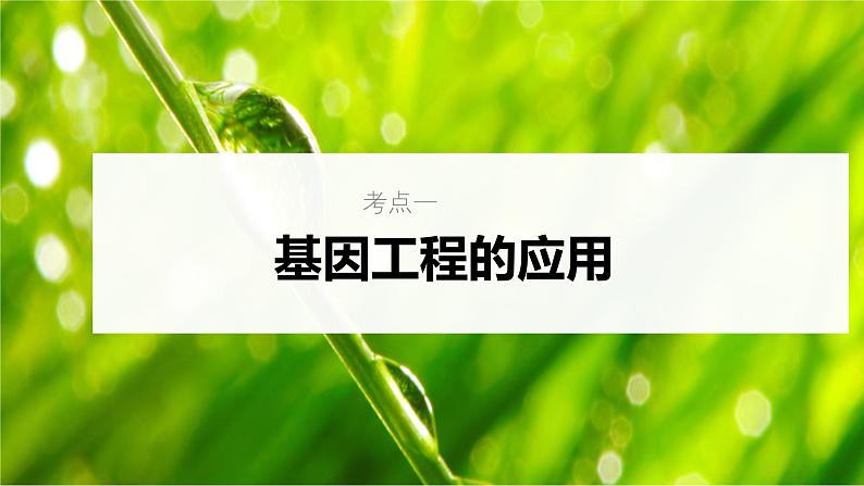 新高考生物一轮复习考点课件第58讲 基因工程的应用和蛋白质工程(含解析)第5页