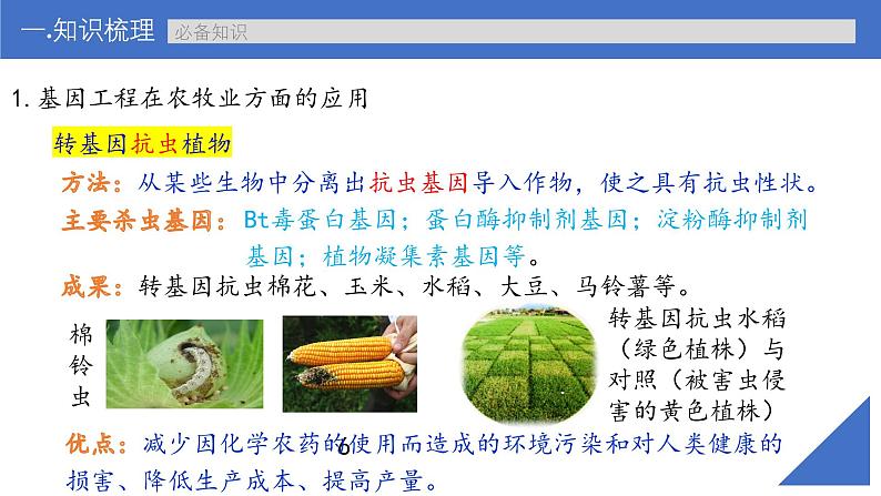 新高考生物一轮复习考点课件第58讲 基因工程的应用和蛋白质工程(含解析)第6页