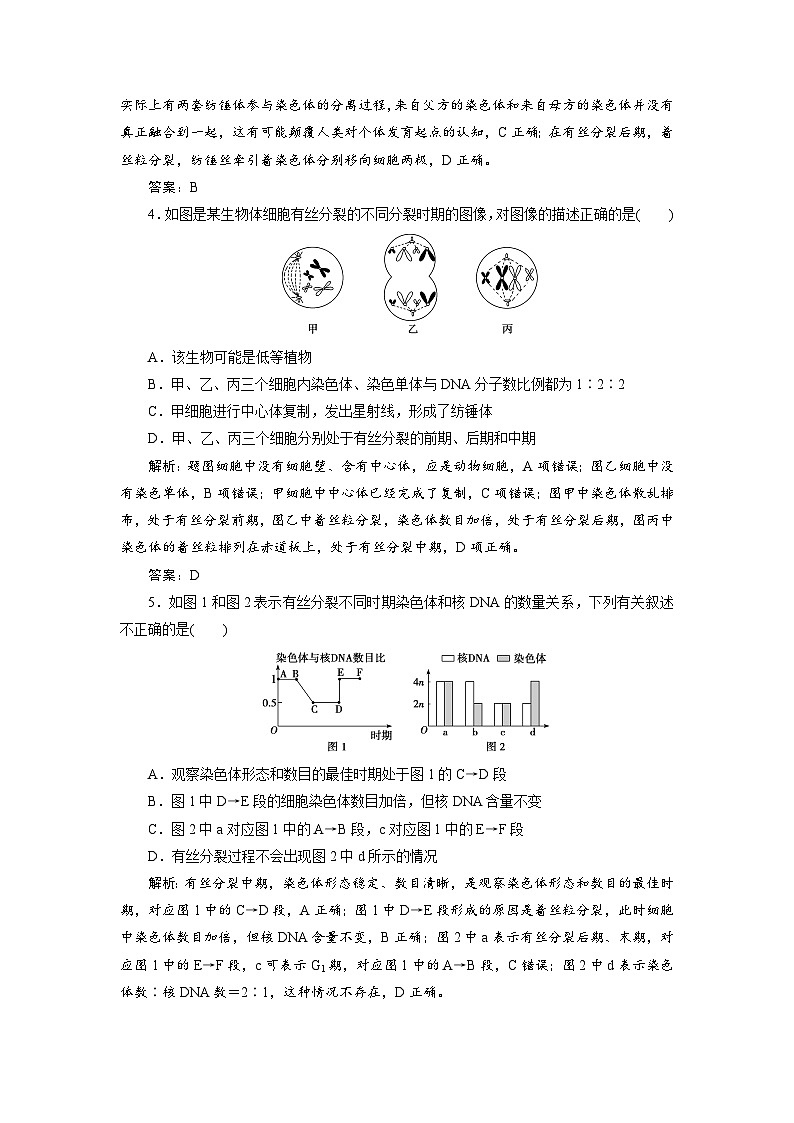 新高中生物一轮复习专题训练:第11讲 细胞的增殖(word含解析)02