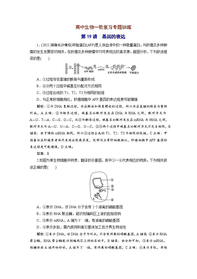 新高中生物一轮复习专题训练:第19讲 基因的表达(word含解析)第1页
