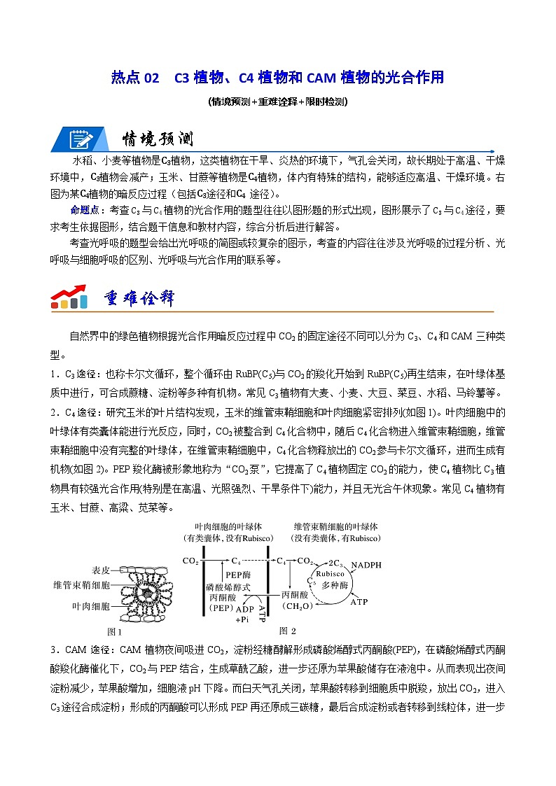新高考生物二轮复习重难点专练热点02 C3植物、C4植物和CAM植物的光合作用(原卷版)第1页