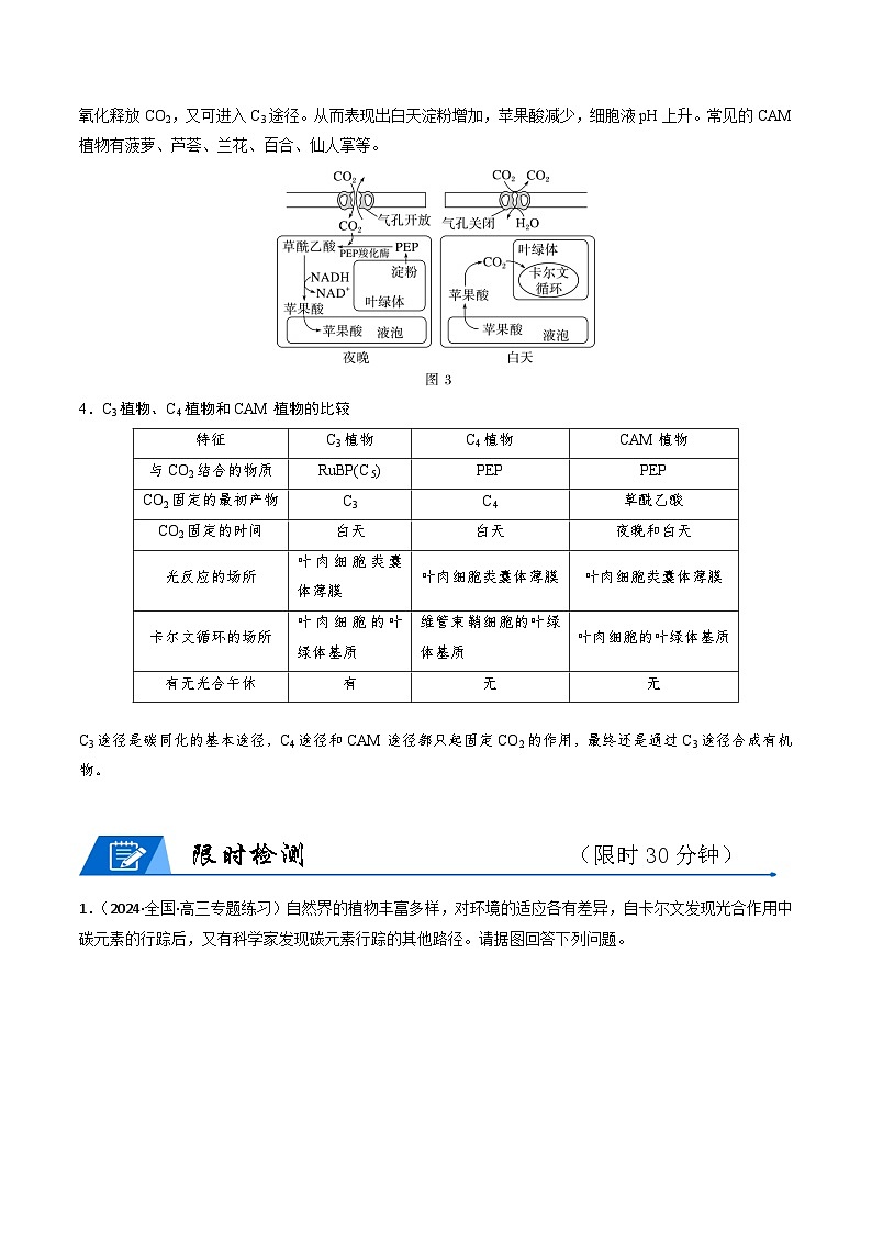 新高考生物二轮复习重难点专练热点02 C3植物、C4植物和CAM植物的光合作用(原卷版)第2页