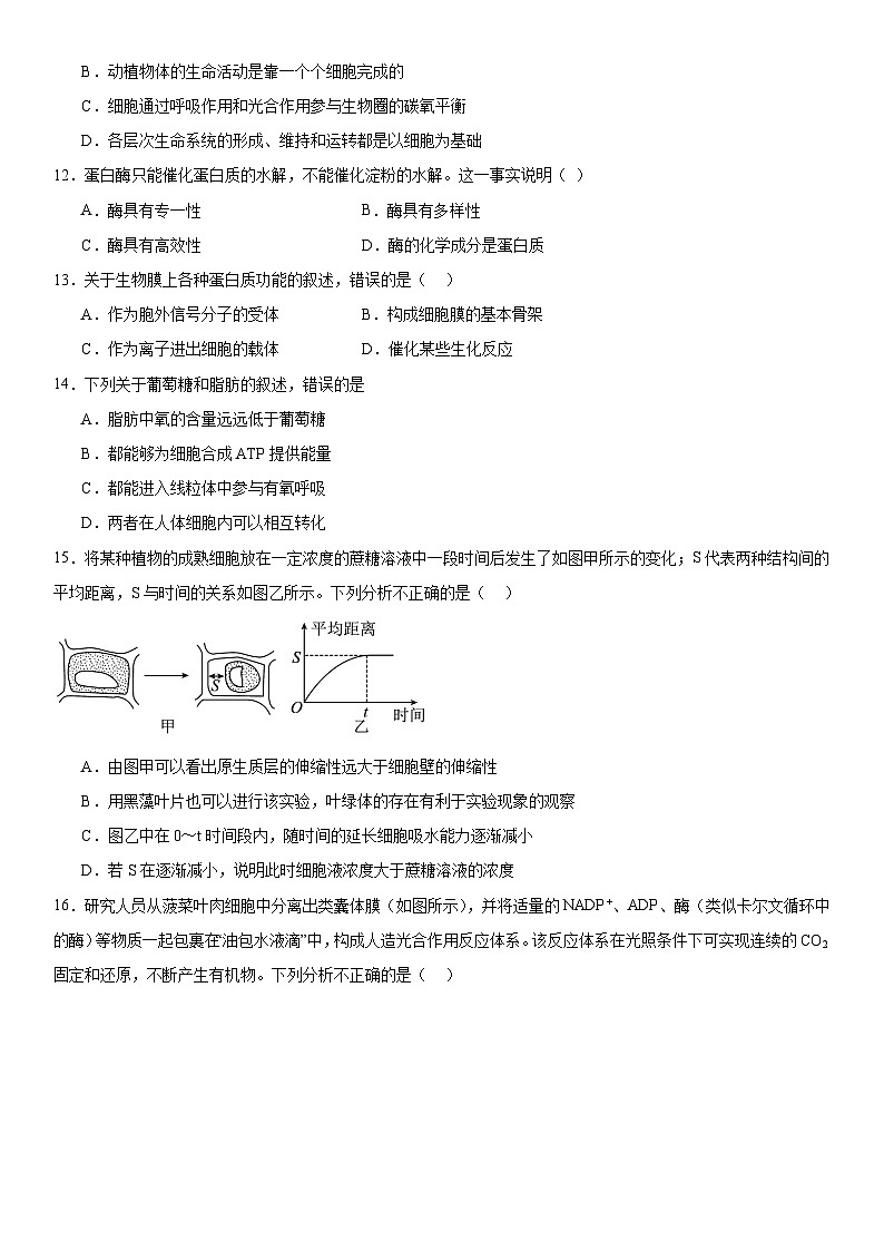 新高考生物二轮复习专题训练专题一 分子与细胞(选择题特训)(原卷版)第3页