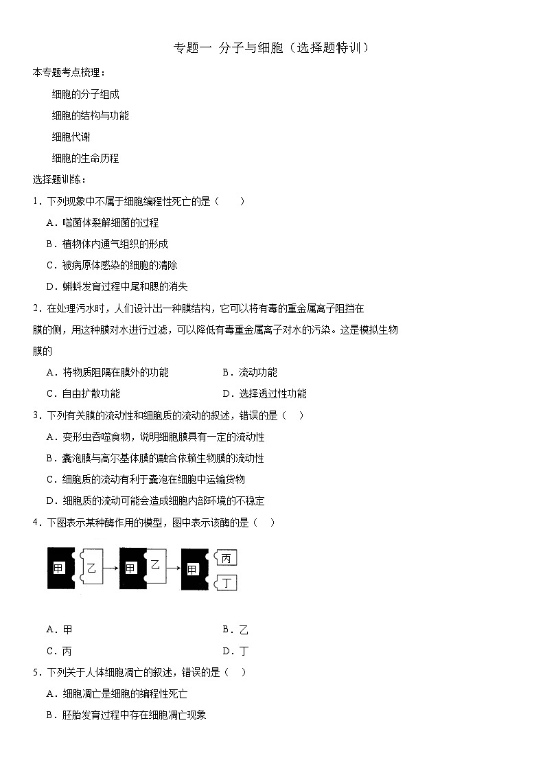 新高考生物二轮复习专题训练专题一 分子与细胞(选择题特训)(解析版)第1页