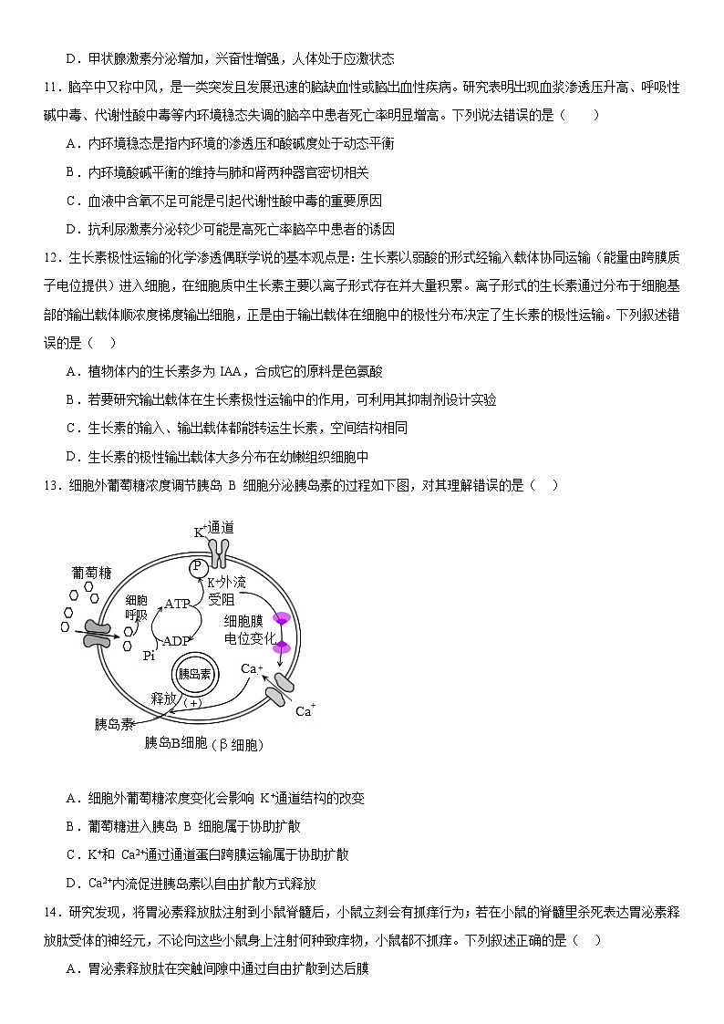 新高考生物二轮复习专题训练专题三 稳态与调节(选择题特训)(原卷版)第3页