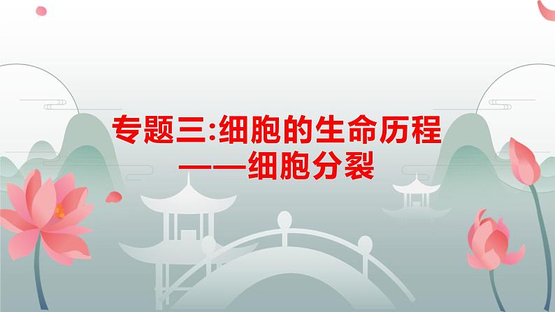 新高考生物二轮复习热点专题专项突破课件 专题三+细胞的分裂(含答案)01