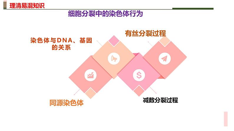 新高考生物二轮复习热点专题专项突破课件 专题三+细胞的分裂(含答案)04