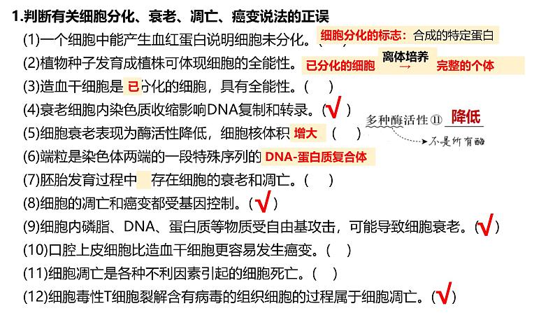 新高考生物二轮复习热点专题专项突破课件 专题四+细胞的分化、衰老、死亡和癌变(含答案)第3页