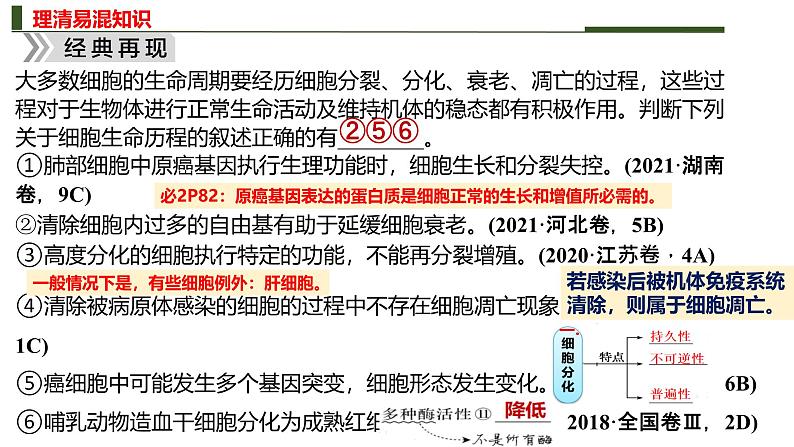 新高考生物二轮复习热点专题专项突破课件 专题四+细胞的分化、衰老、死亡和癌变(含答案)第8页