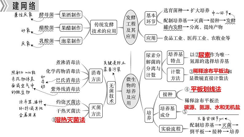 新高考生物二轮复习热点专题专项突破课件 专题一0 微生物的培养与发酵工程(含答案)第4页