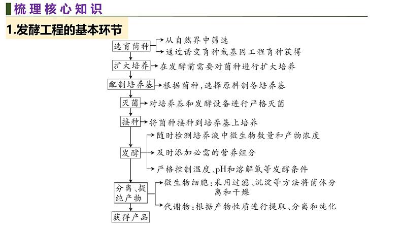新高考生物二轮复习热点专题专项突破课件 专题一0 微生物的培养与发酵工程(含答案)第5页