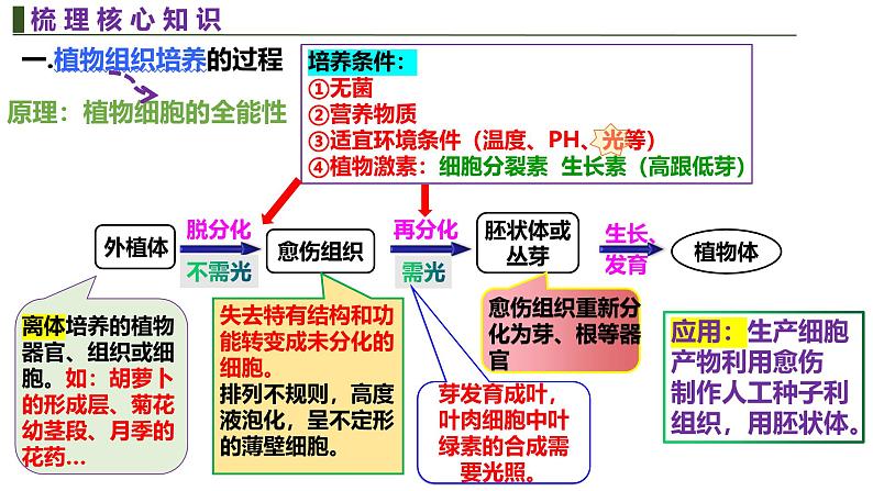 新高考生物二轮复习热点专题专项突破课件 专题一0一+细胞工程与胚胎工程(含答案)第6页