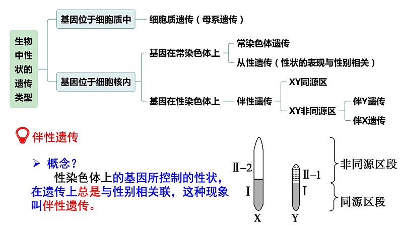 新高考生物二轮复习热点专题专项突破课件 专题一0三 孟德尔遗传定律及应用(含答案)第3页