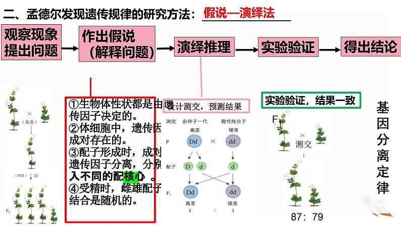新高考生物二轮复习热点专题专项突破课件 专题一0三 孟德尔遗传定律及应用(含答案)第6页