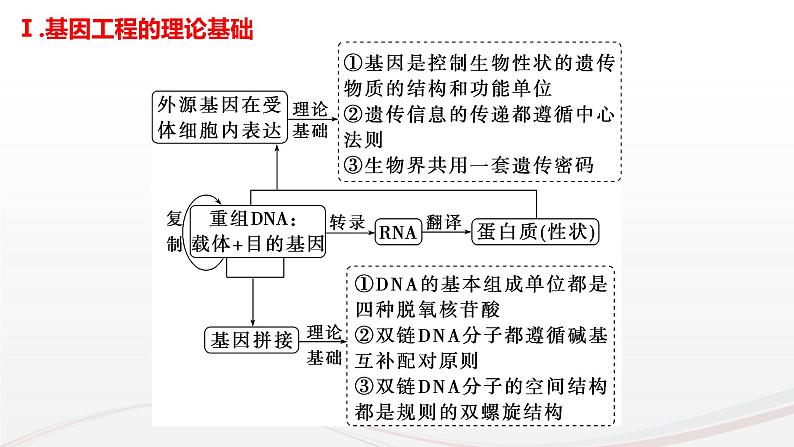 新高考生物二轮复习热点专题专项突破课件 专题一0二+基因工程(含PCR和电泳视频)(含答案)05