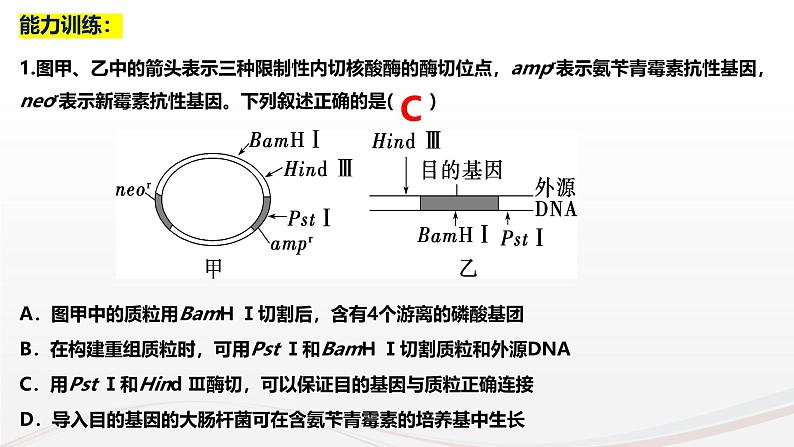 新高考生物二轮复习热点专题专项突破课件 专题一0二+基因工程(含PCR和电泳视频)(含答案)07