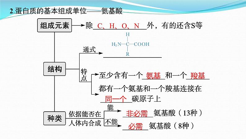 新高考生物一轮复习课件:第3讲 蛋白质和核酸(含解析)第4页