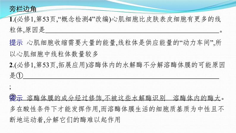 新高考生物一轮复习课件:第5讲 细胞器与生物膜系统(含解析)第7页