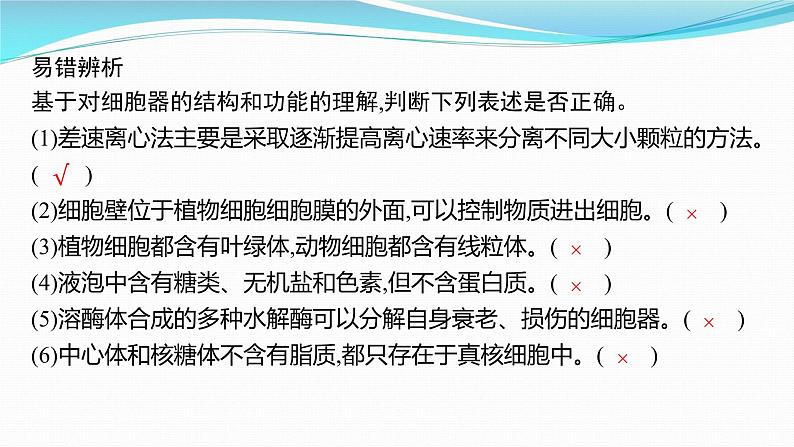 新高考生物一轮复习课件:第5讲 细胞器与生物膜系统(含解析)第8页