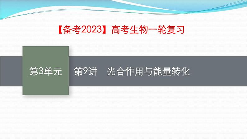 新高考生物一轮复习课件:第9讲 光合作用与能量转化(含解析)第1页