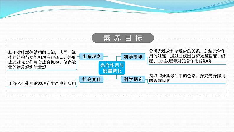 新高考生物一轮复习课件:第9讲 光合作用与能量转化(含解析)第2页