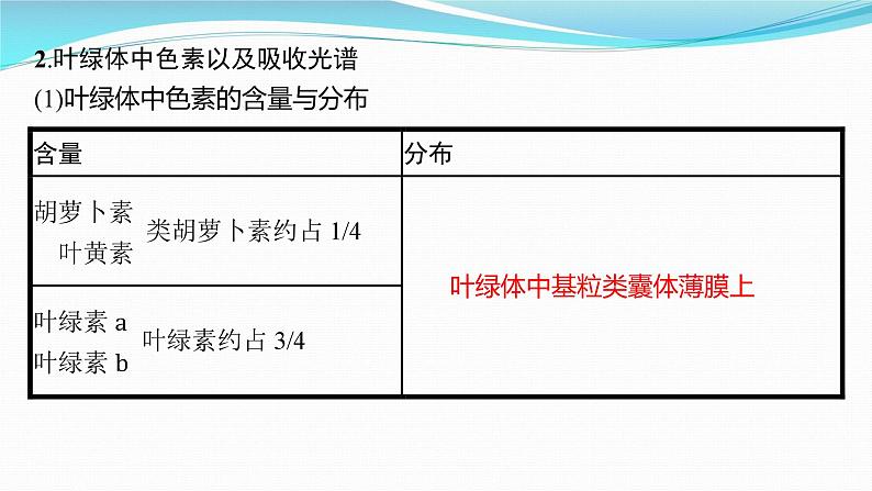 新高考生物一轮复习课件:第9讲 光合作用与能量转化(含解析)第6页