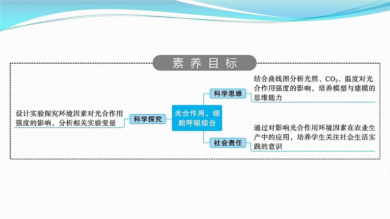新高考生物一轮复习课件:第10讲 光合作用、细胞呼吸综合(含解析)02