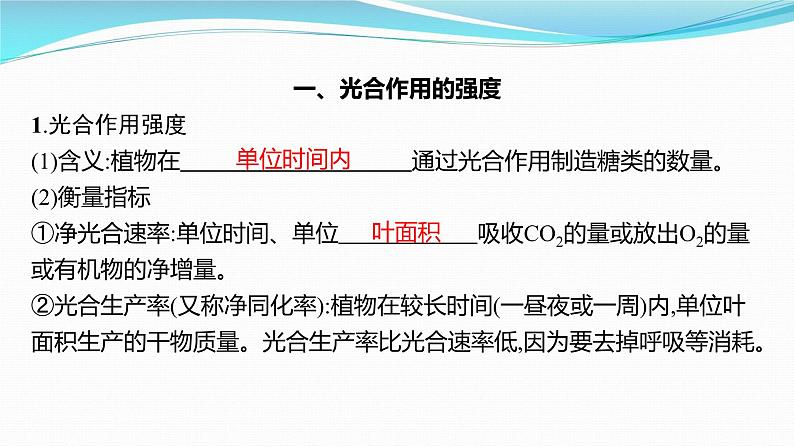 新高考生物一轮复习课件:第10讲 光合作用、细胞呼吸综合(含解析)03