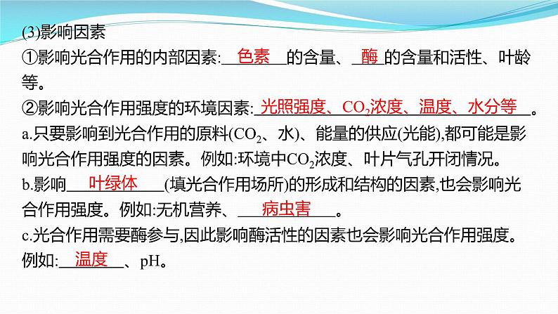 新高考生物一轮复习课件:第10讲 光合作用、细胞呼吸综合(含解析)04