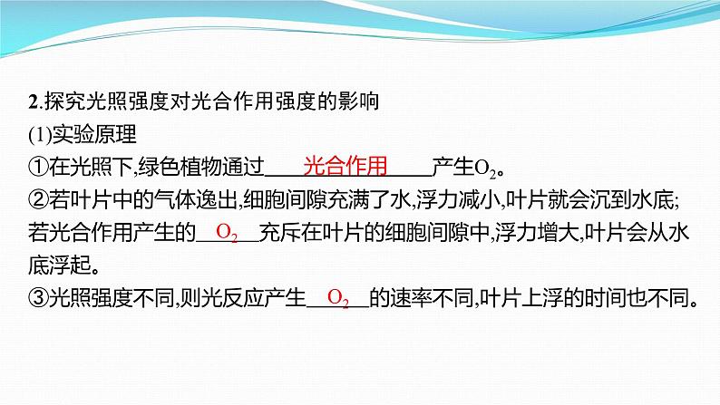 新高考生物一轮复习课件:第10讲 光合作用、细胞呼吸综合(含解析)05