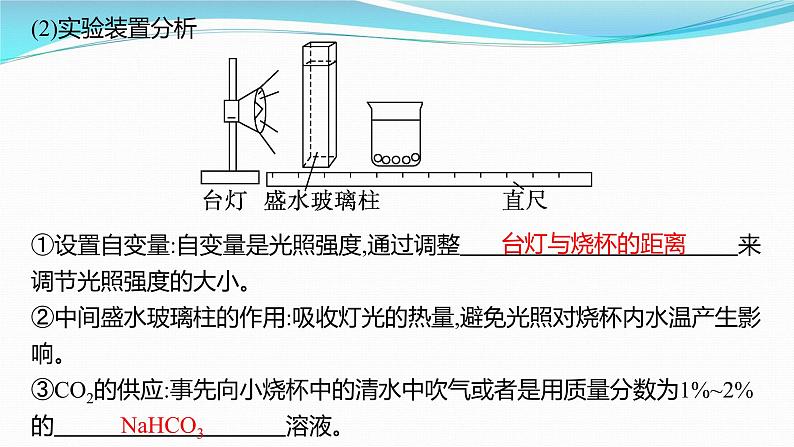 新高考生物一轮复习课件:第10讲 光合作用、细胞呼吸综合(含解析)06