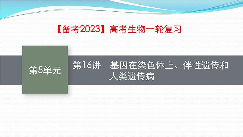新高考生物一轮复习课件:第16讲 基因在染色体上、伴性遗传和人类遗传病(含解析)01