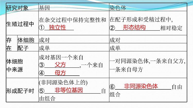 新高考生物一轮复习课件:第16讲 基因在染色体上、伴性遗传和人类遗传病(含解析)04