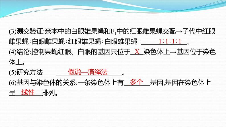 新高考生物一轮复习课件:第16讲 基因在染色体上、伴性遗传和人类遗传病(含解析)07