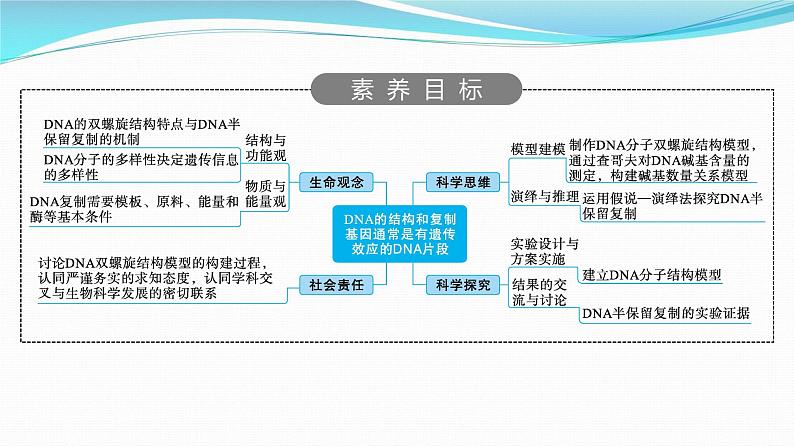 新高考生物一轮复习课件:第18讲 DNA的结构和复制基因通常是有遗传效应的DNA片段(含解析)第2页
