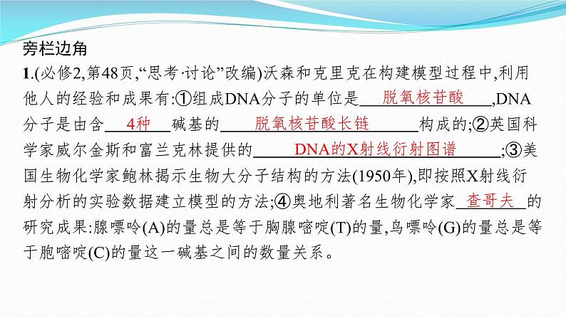 新高考生物一轮复习课件:第18讲 DNA的结构和复制基因通常是有遗传效应的DNA片段(含解析)第8页