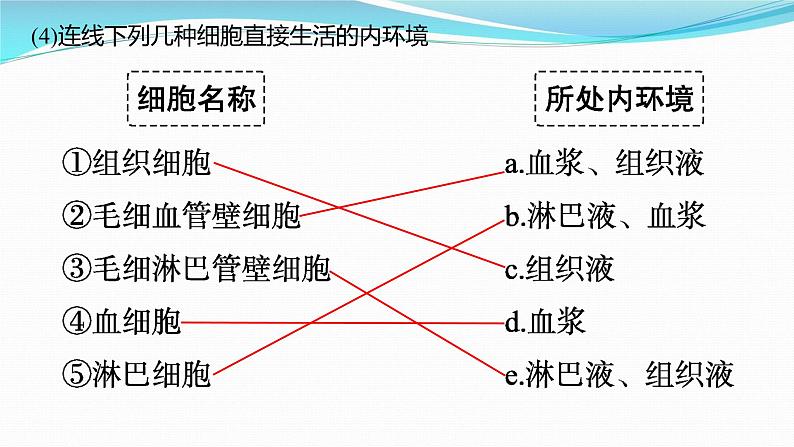 新高考生物一轮复习课件:第23讲 人体的内环境与稳态(含解析)第5页
