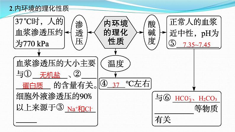 新高考生物一轮复习课件:第23讲 人体的内环境与稳态(含解析)第8页
