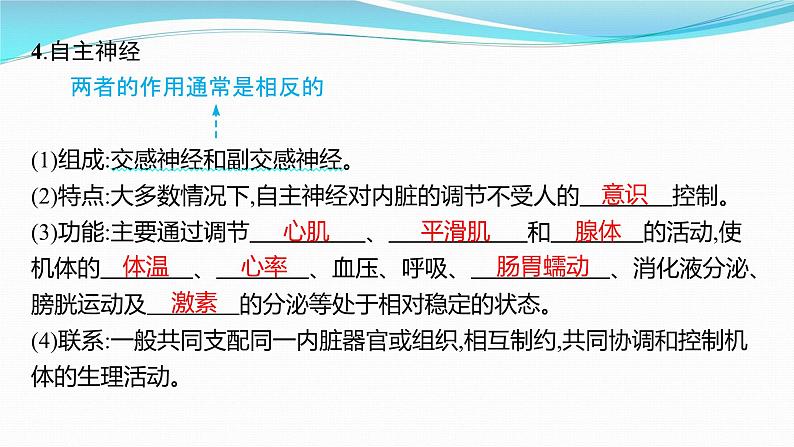 新高考生物一轮复习课件:第24讲 神经调节(含解析)第6页
