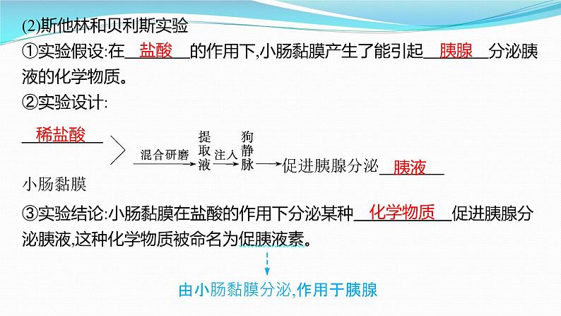 新高考生物一轮复习课件:第25讲 体液调节(含解析)第5页