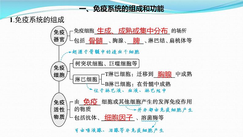 新高考生物一轮复习课件:第26讲 免疫调节(含解析)第3页