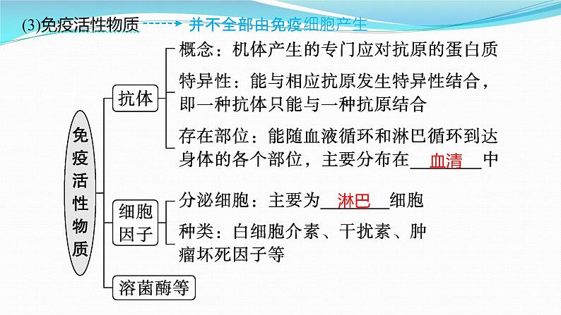 新高考生物一轮复习课件:第26讲 免疫调节(含解析)第7页
