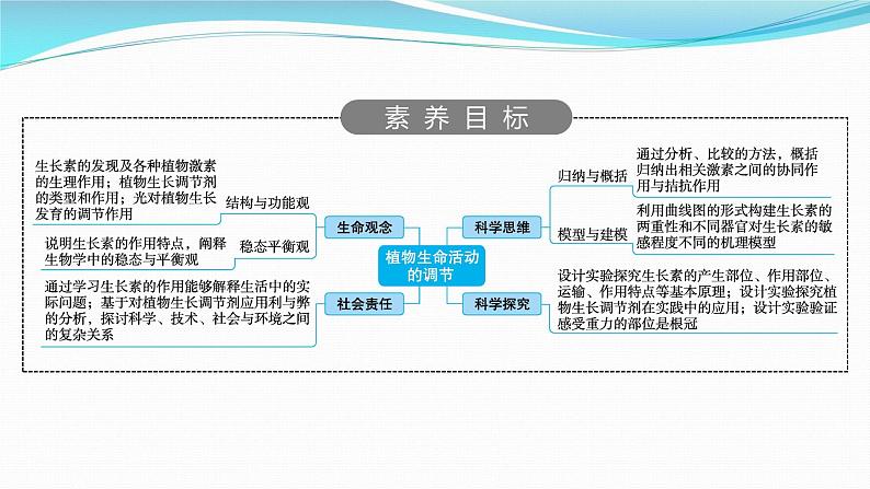 新高考生物一轮复习课件:第27讲 植物生命活动的调节(含解析)02