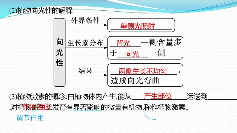 新高考生物一轮复习课件:第27讲 植物生命活动的调节(含解析)06