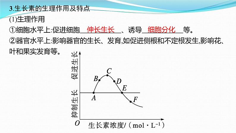 新高考生物一轮复习课件:第27讲 植物生命活动的调节(含解析)08